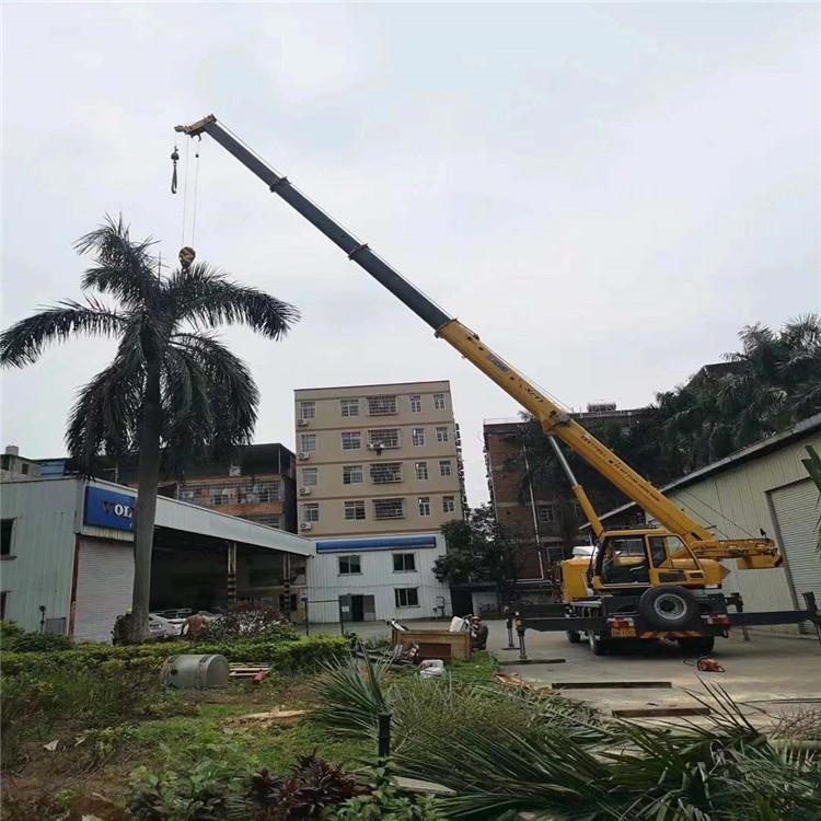 巴中汽车吊出租多少钱？全面解析与市场行情